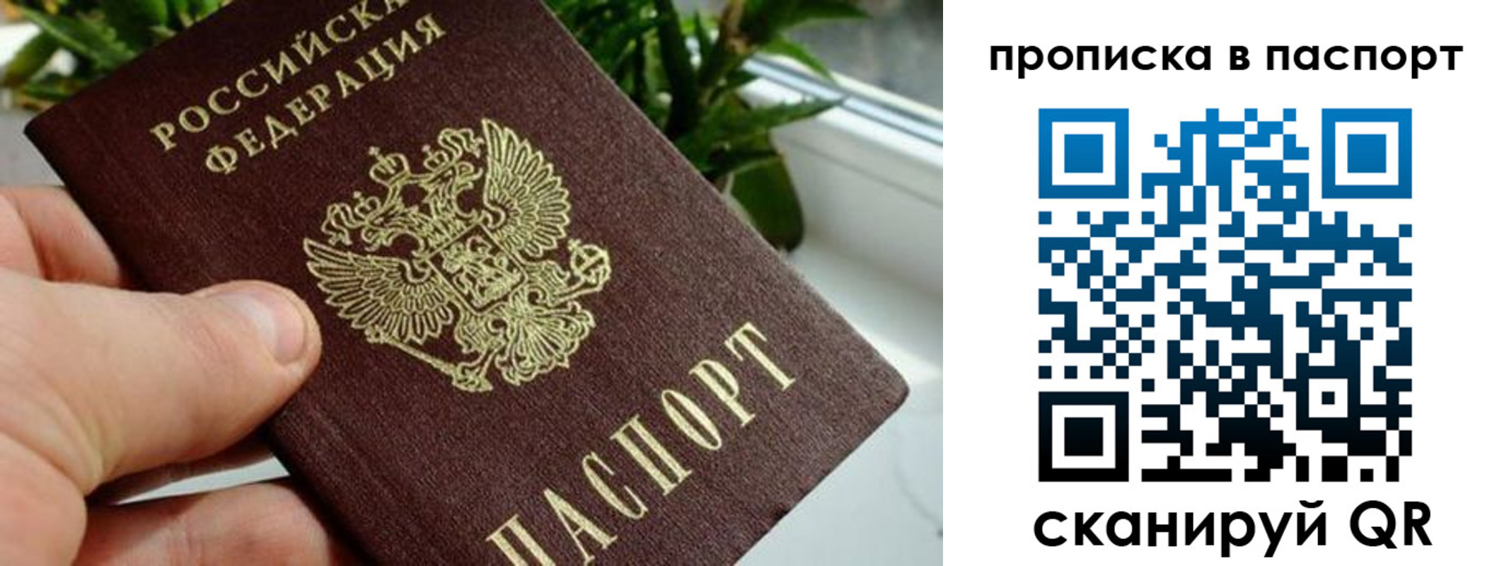 пропишу в квартире в Архангельске